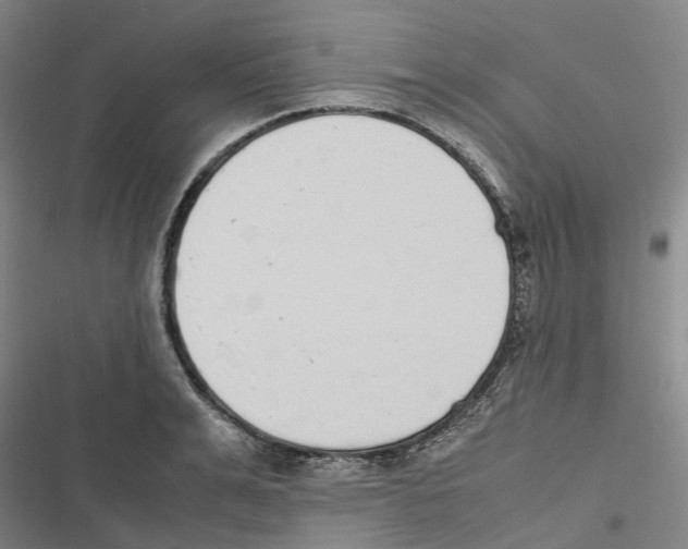 X0000116840991201001151243