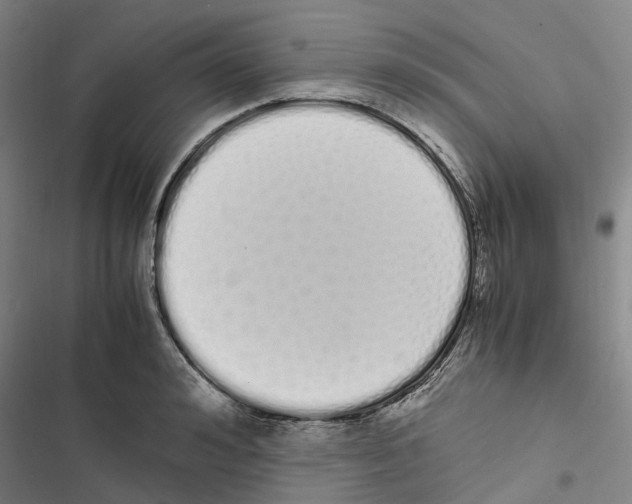 X0000116840992201001151243