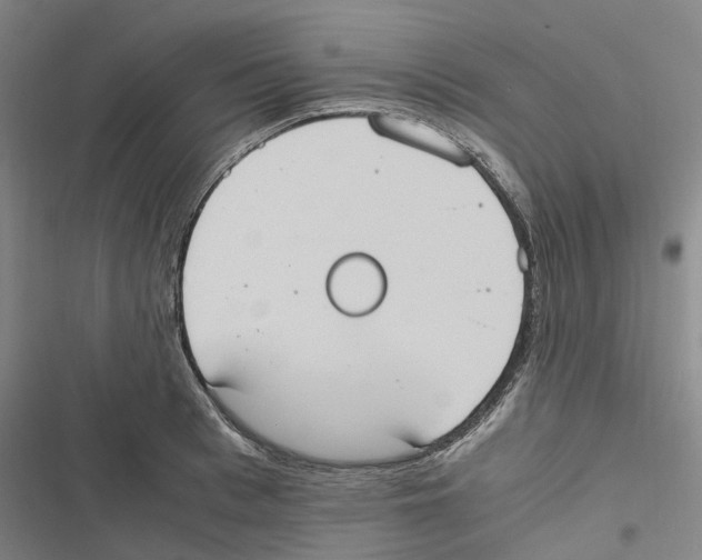 X0000116840993201001151243