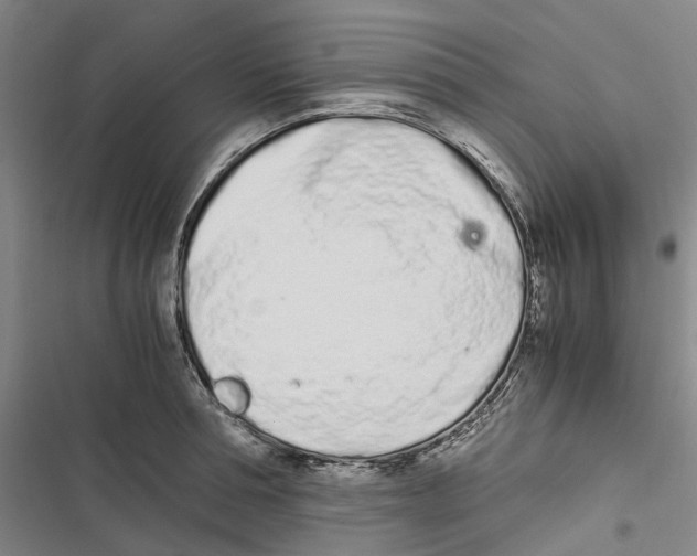 X0000116840994201001151243