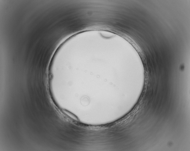 X0000116840996201001151243