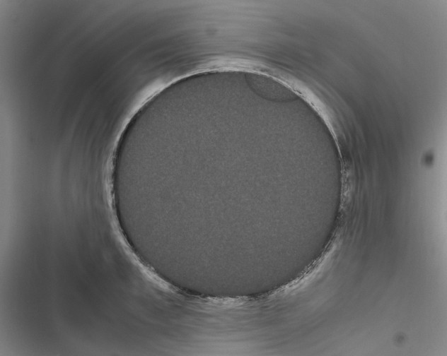 X0000116840997201001151243