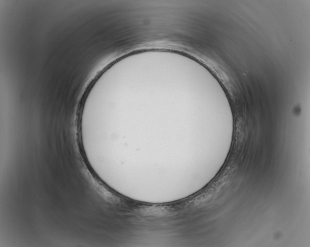 X0000116840998201001151243