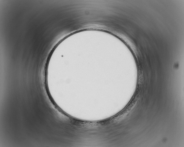 X0000116840999201001151243