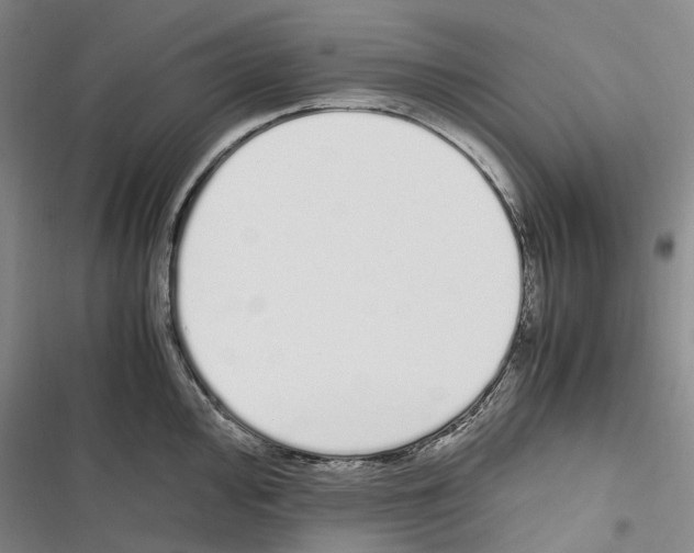 X0000116841000201001151243