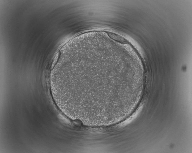 X0000116841001201001151243