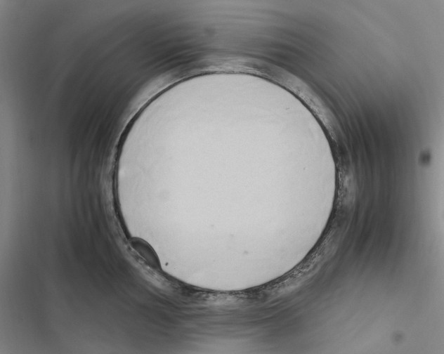 X0000116841002201001151243