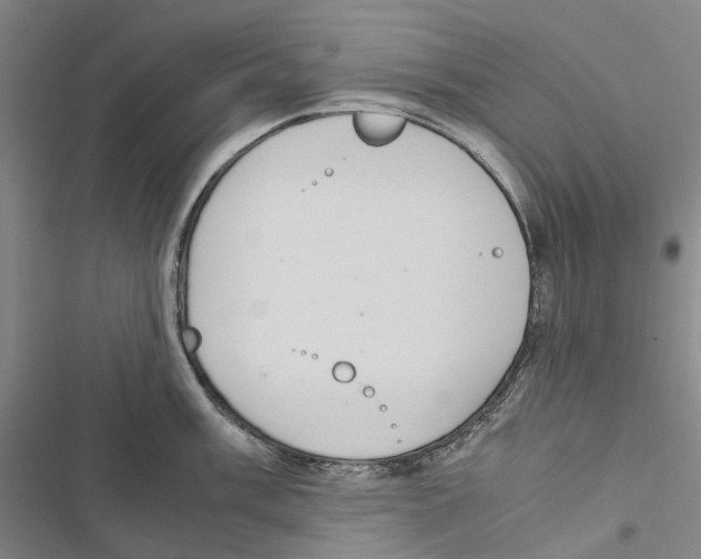 X0000116841003201001151243