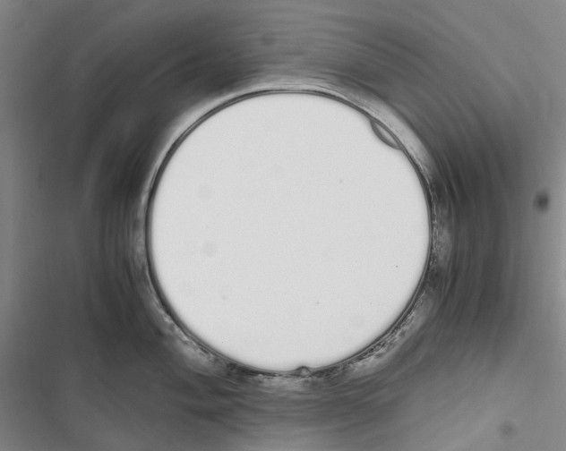 X0000116841004201001151243