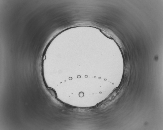 X0000116841005201001151243