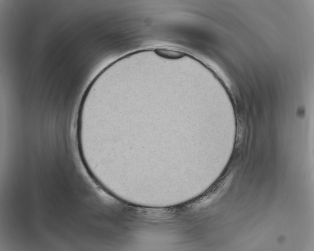 X0000116841007201001151243