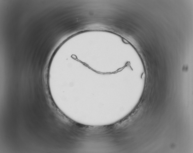 X0000116841008201001151243