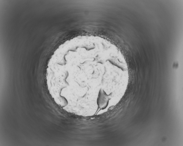 X0000116841009201001151242