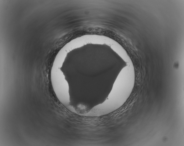 X0000116841013201001151242