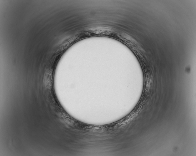 X0000116841014201001151242