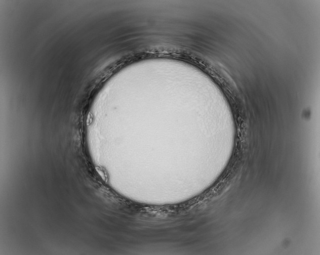 X0000116841015201001151242