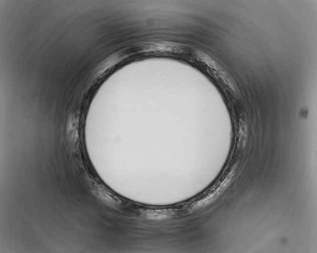 X0000116841017201001151243