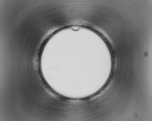 X0000116841018201001151243