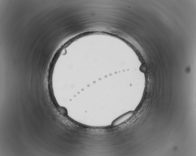 X0000116841020201001151243