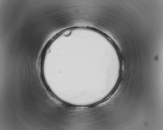 X0000116841022201001151243