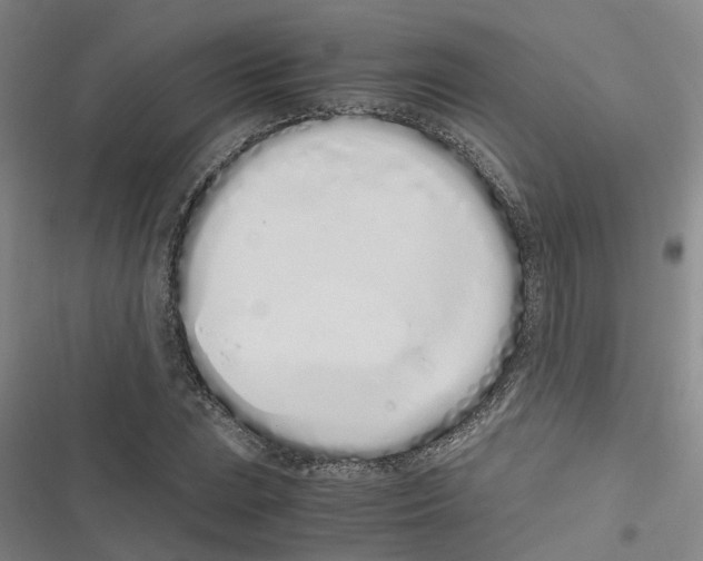 X0000116841023201001151243