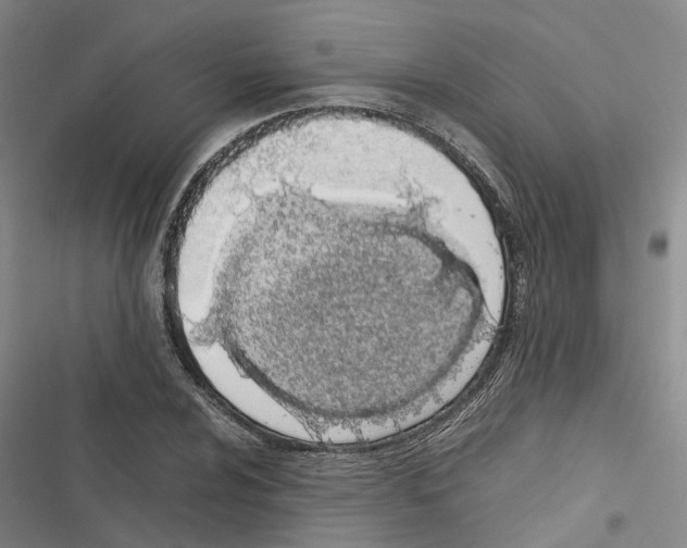 X0000116841024201001151243