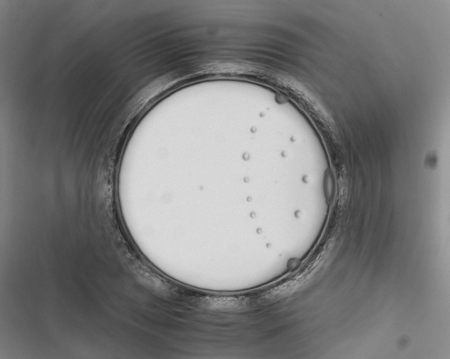 X0000116841025201001151243