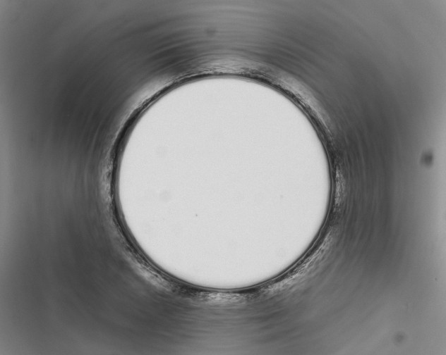 X0000116841026201001151243