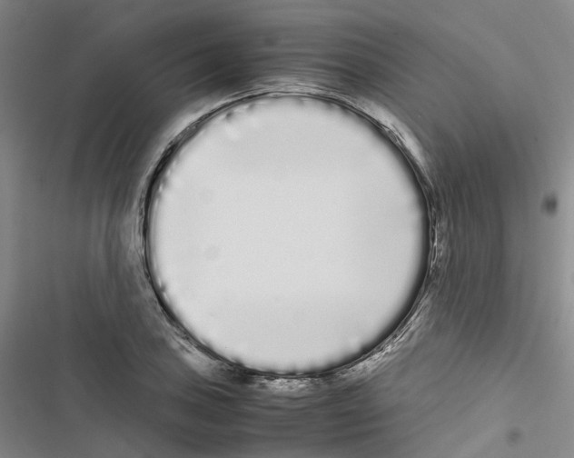 X0000116841027201001151243