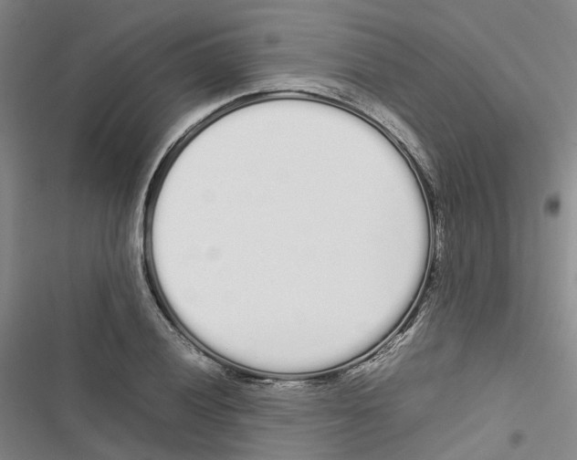 X0000116841028201001151243