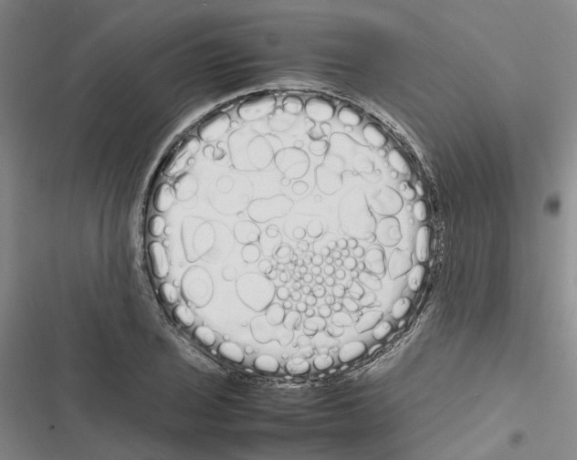 X0000116841029201001151243