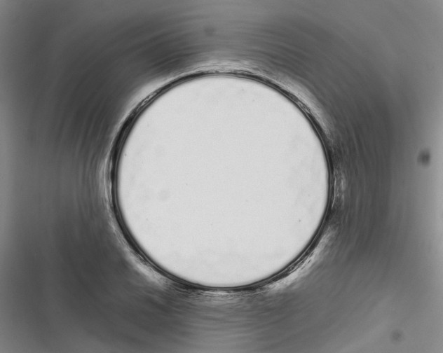 X0000116841030201001151243