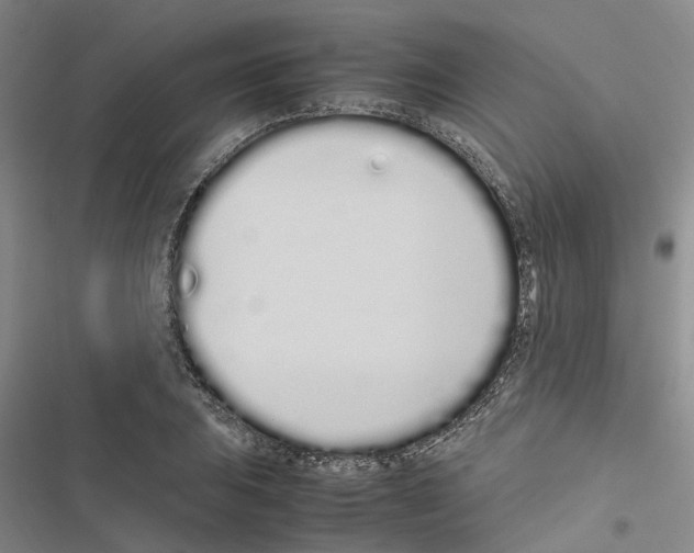 X0000116841031201001151243