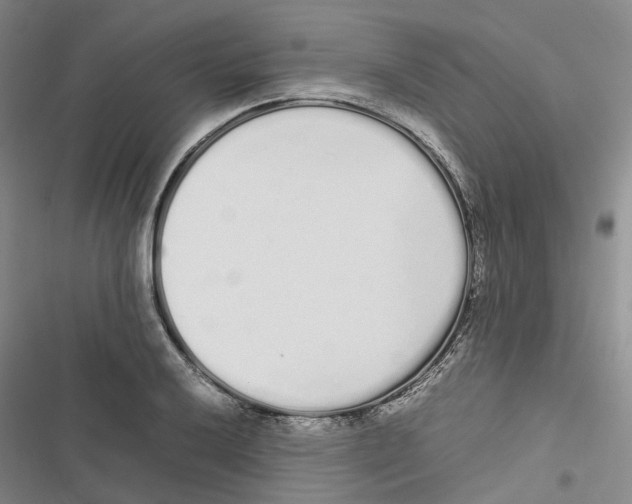 X0000116841032201001151243