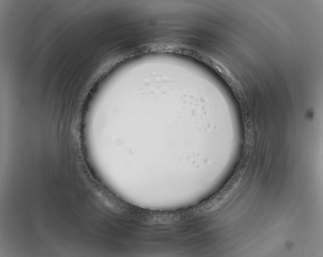 X0000116841035201001151243