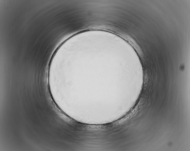 X0000116841036201001151243