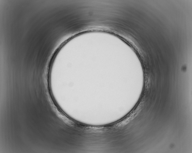 X0000116841038201001151243