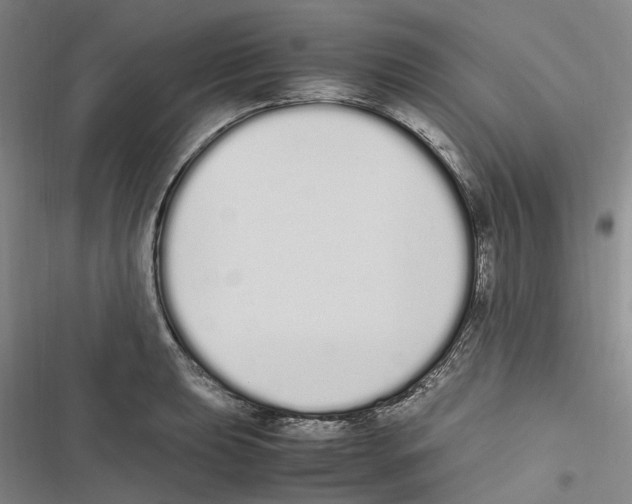 X0000116841039201001151243