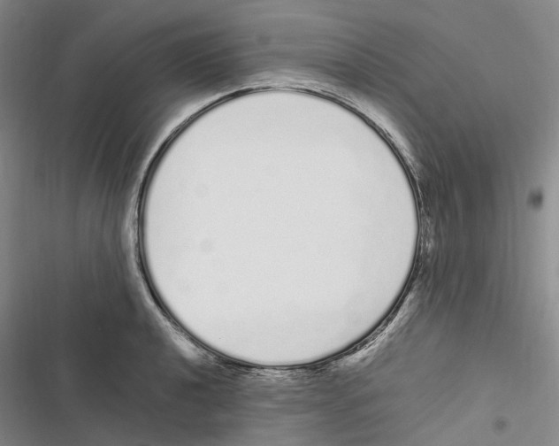 X0000116841040201001151243