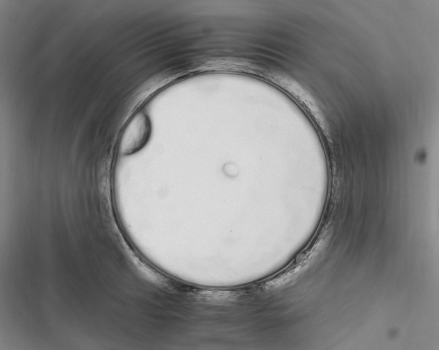 X0000116841041201001151243