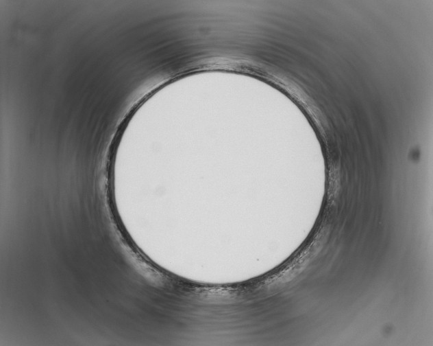 X0000116841042201001151243