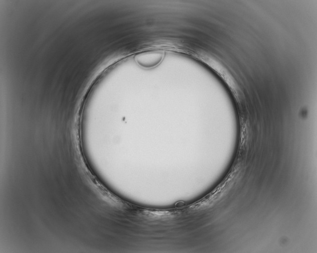 X0000116841043201001151243