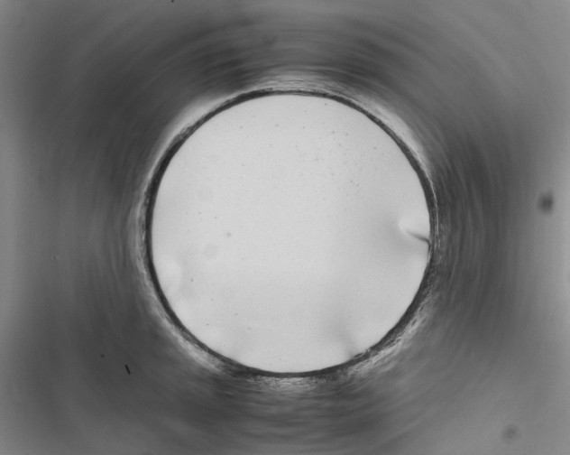 X0000116841045201001151243