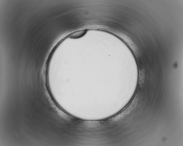 X0000116841046201001151243