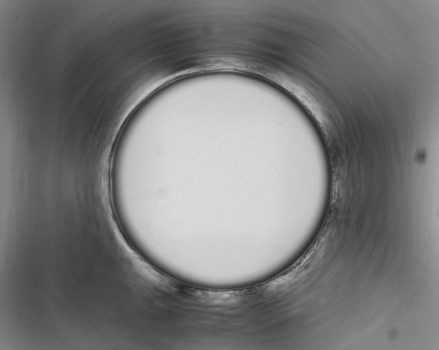 X0000116841047201001151243