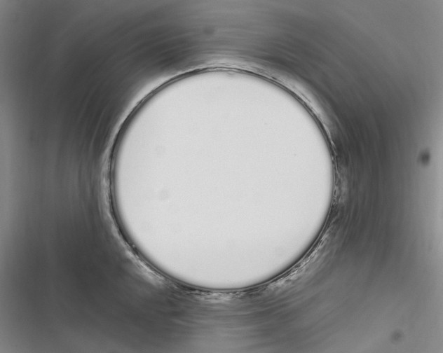 X0000116841048201001151243