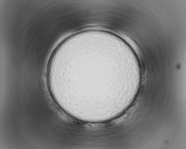 X0000116841051201001151243