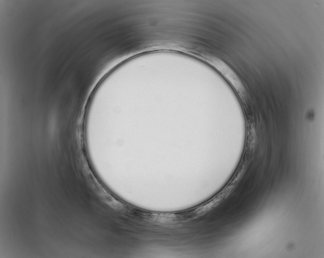 X0000116841052201001151243