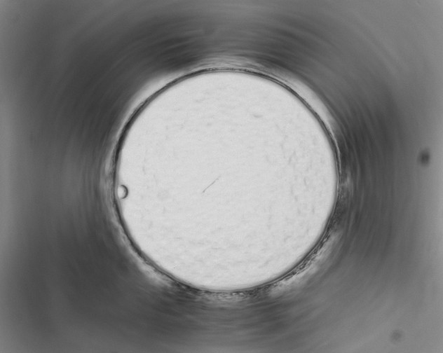 X0000116841053201001151243