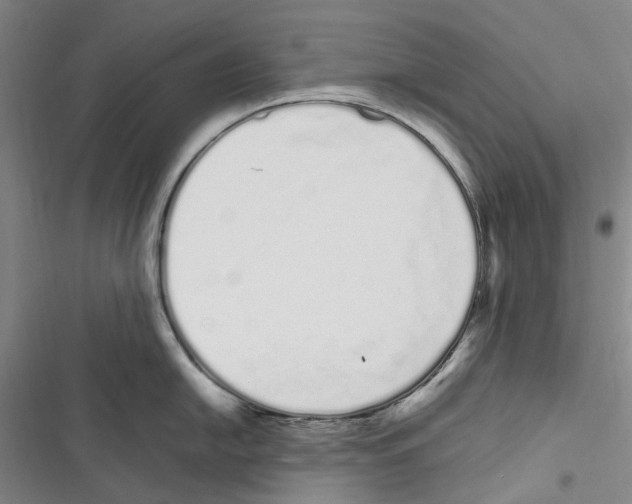 X0000116841054201001151243